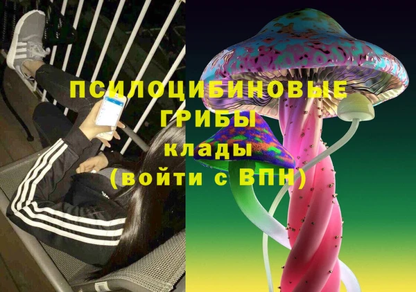 СК Киренск