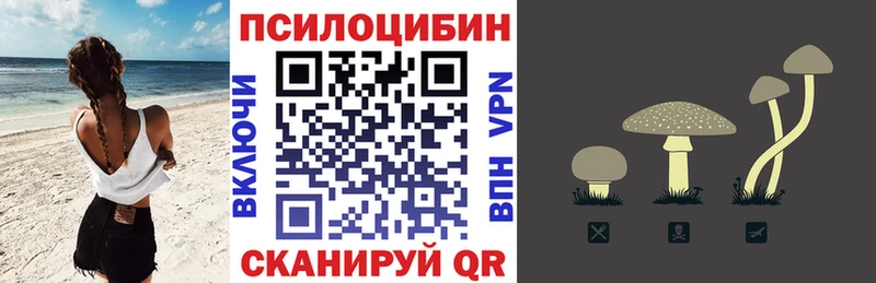 гидра ТОР  Томмот  Галлюциногенные грибы Magic Shrooms 