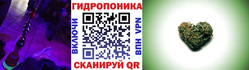 Каннабис планчик  сколько стоит  Томмот 